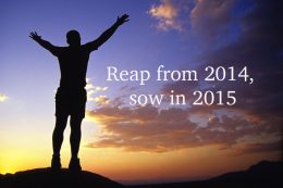 Reap from 2014, sow in 2015